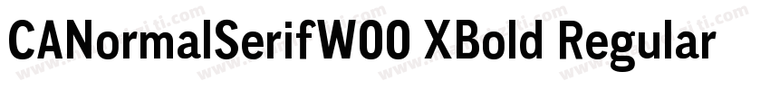 CANormalSerifW00 XBold Regular字体转换